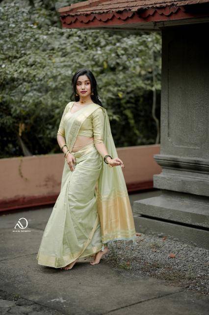 Mohini-vol-19 cotton with zari  Wholesale saree manufacturers