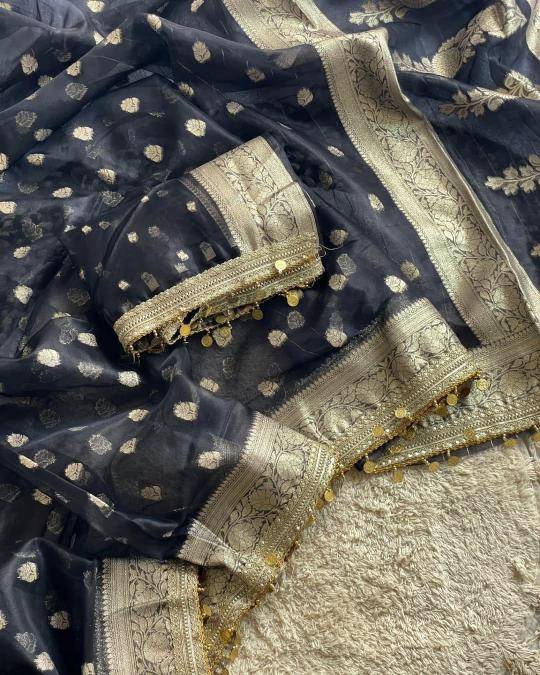 Kora organza silk Saree showroom in Kolkata