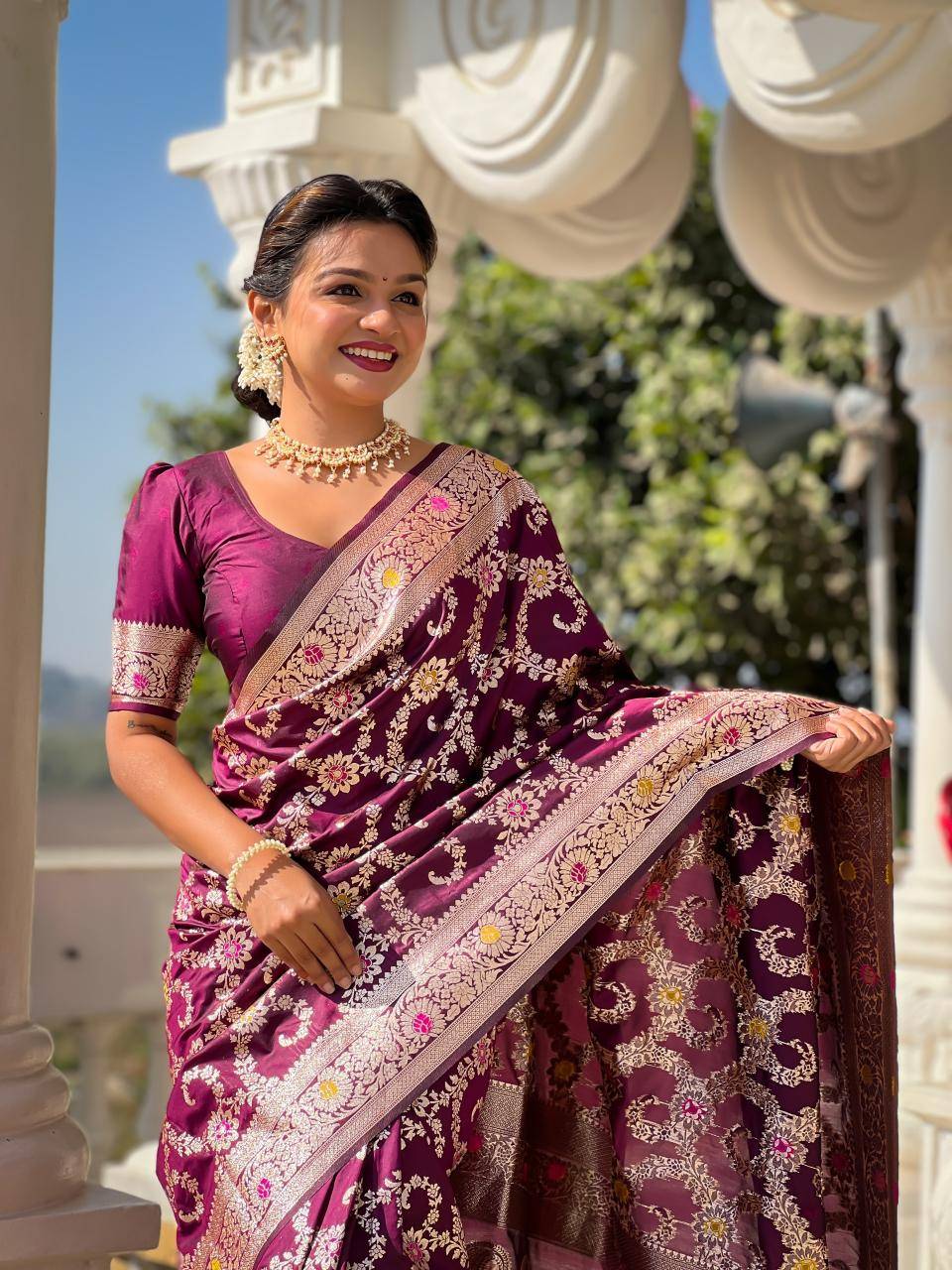 Banarasi-6 Indian saree wholesalers