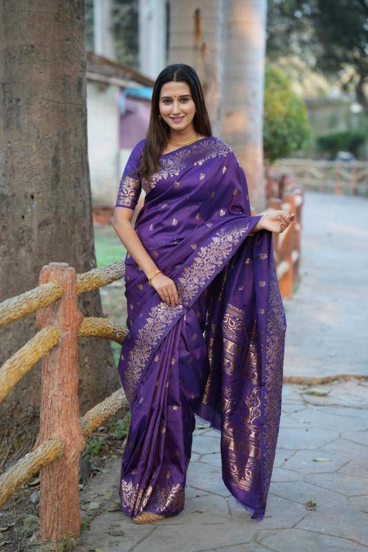 Soft and pure banarasi silk Fancy sarees wholesale Mumbai