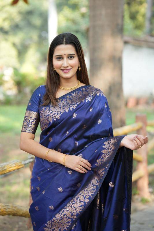 Soft and pure banarasi silk Fancy sarees wholesale Mumbai