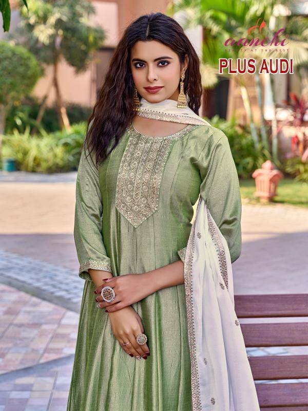 Aanchi plus audi Surat kurti wholesalers