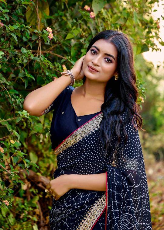 Shorya mono georgette with lace work Saree suppliers in Mumbai