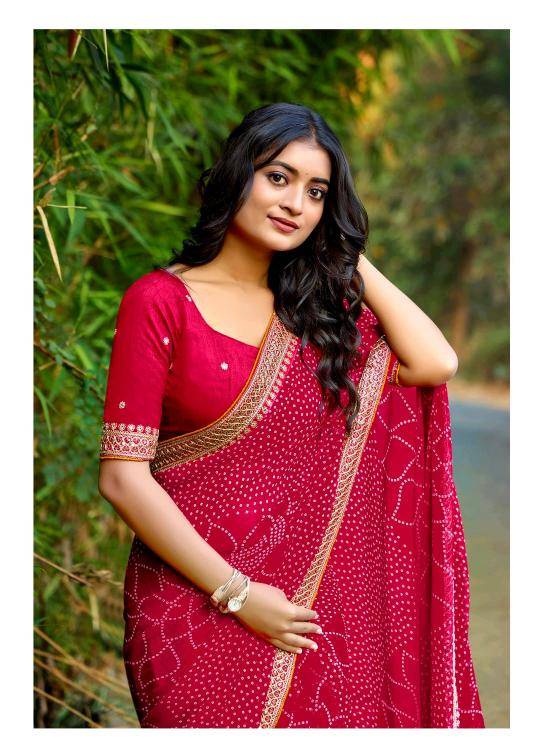 Shorya mono georgette with lace work Saree suppliers in Mumbai