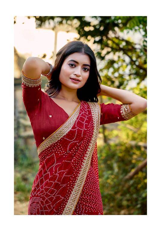 Shorya mono georgette with lace work Saree suppliers in Mumbai