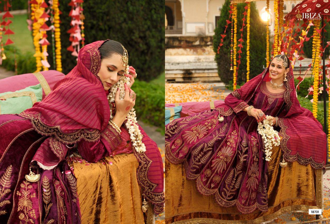 Ibiza anarkali vol 2 Wholesale dress material market in Delhi