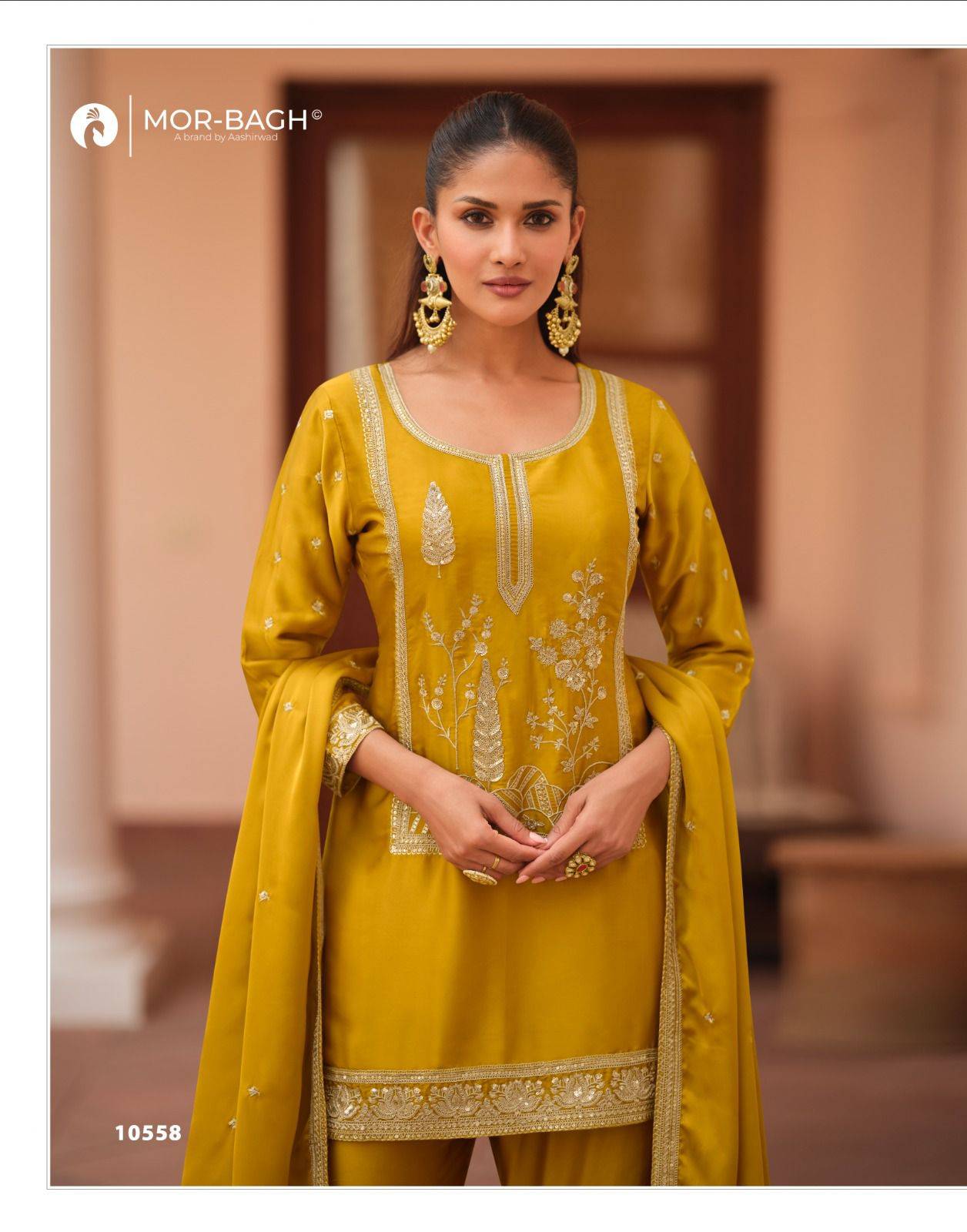 Aashirwad Mor Bagh Mohini Salwar kameez manufacturers