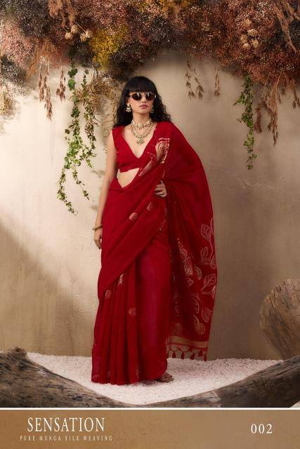 Rajtex sensation silk Wholesale Saree Market in Kolkata