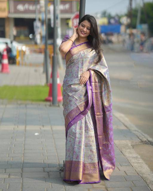 Malhar virasat Silk saree wholesaler