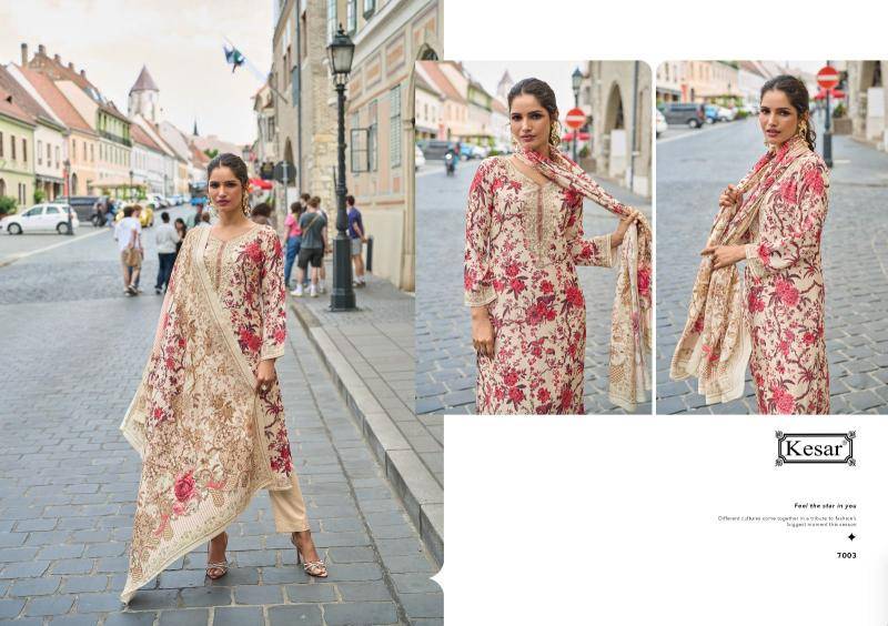 Kesar armani Dress material manufacturers in Delhi