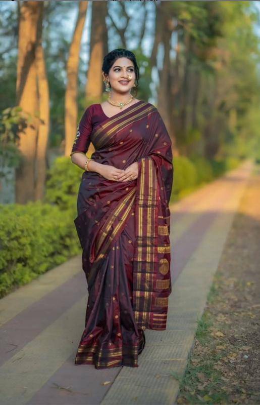 Anupama narayan peth Saree wholesalers in India