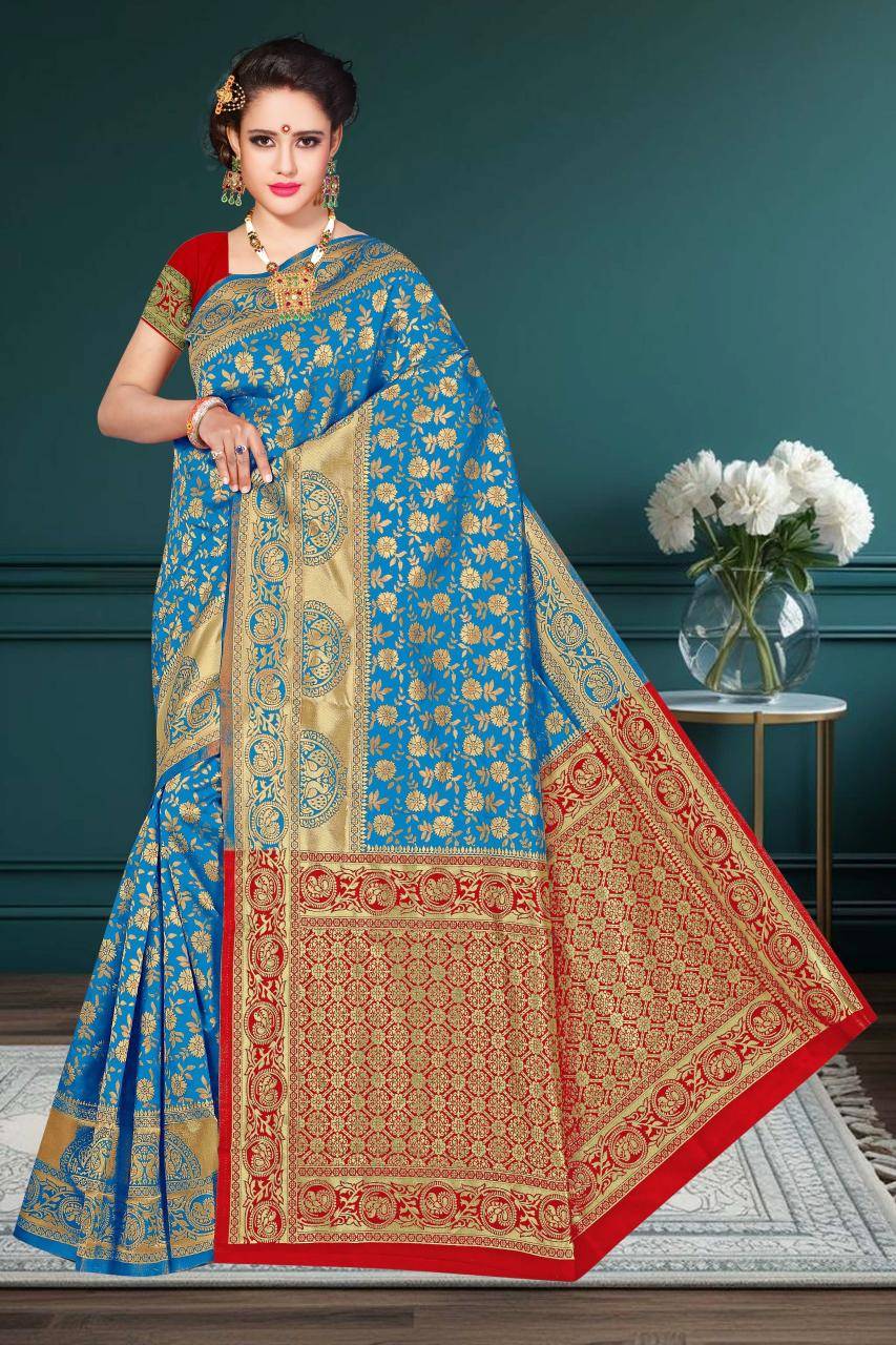 Ronisha d.no 53 Ahmedabad saree market