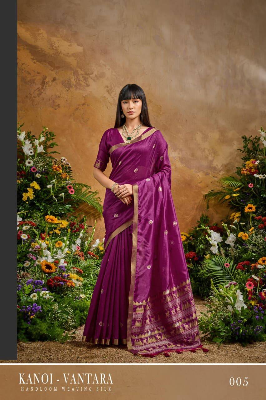 Rajtex Kanoi Vantara Saree wholesaler market in India
