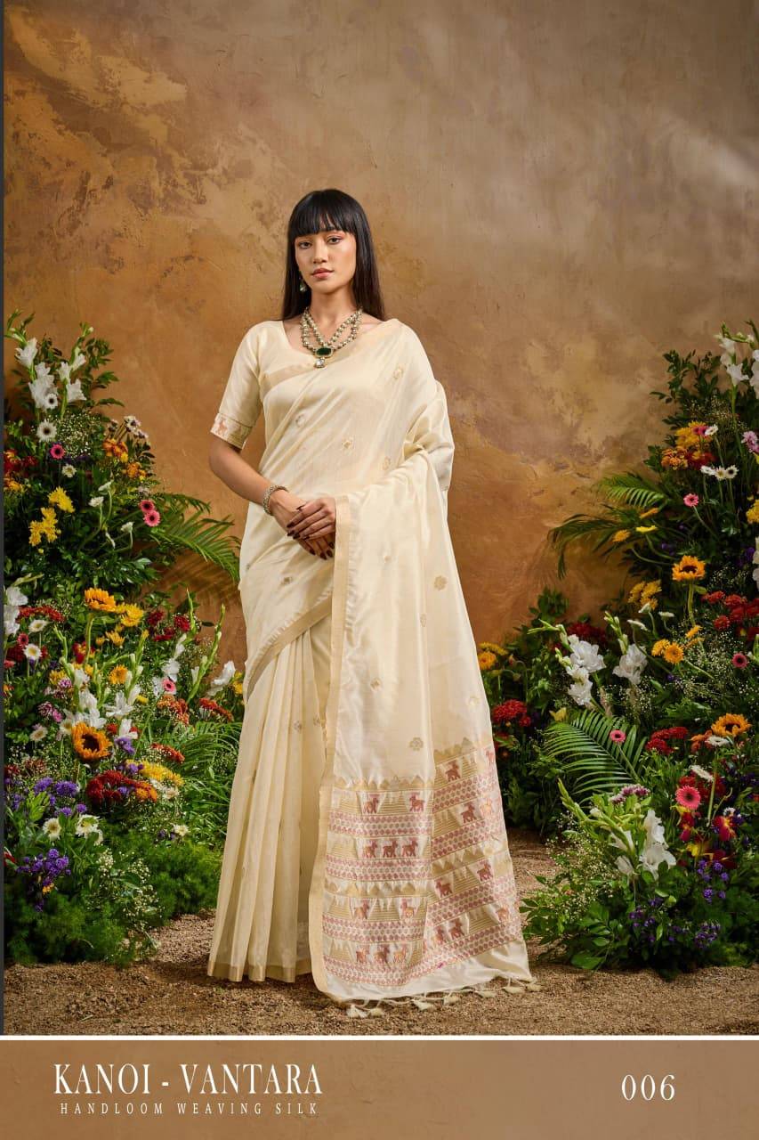 Rajtex Kanoi Vantara Saree wholesaler market in India