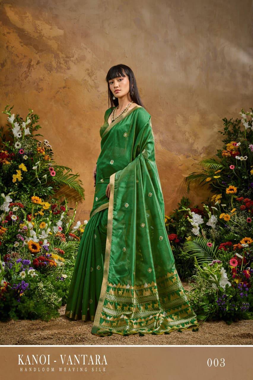 Rajtex Kanoi Vantara Saree wholesaler market in India