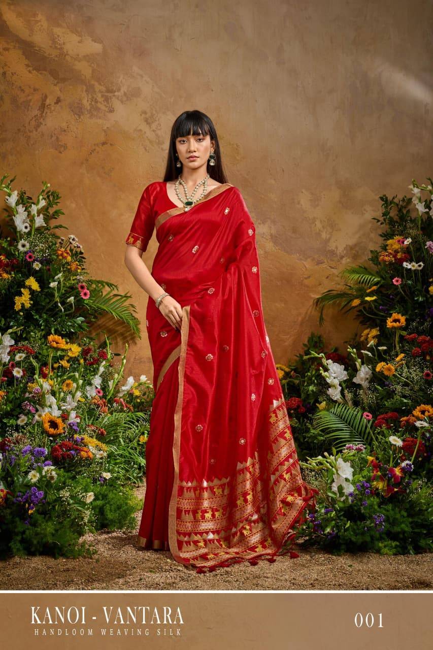 Rajtex Kanoi Vantara Saree wholesaler market in India