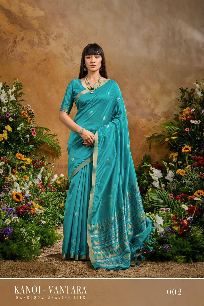 Rajtex Kanoi Vantara Saree wholesaler market in India
