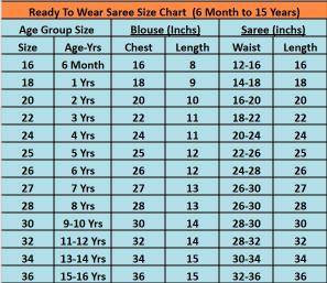 GAME-CHANGER Ready-to-Wear Dola Silk Saree wholesale market in Delhi 