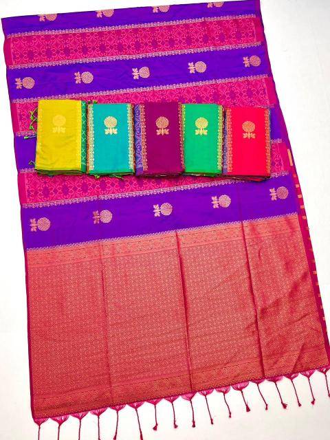 Rajtex kirtan Designer sarees in Delhi