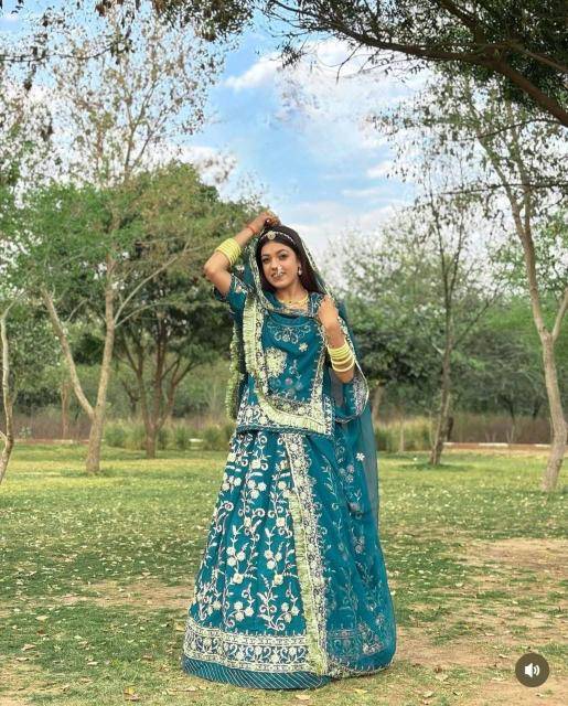 Launching Darbari Poshak PC-517 Georgette Wholesale Lehengha choli Catalogue